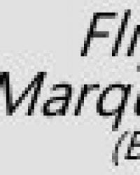 Option ~ Flip up Marquee Sign (backlit)